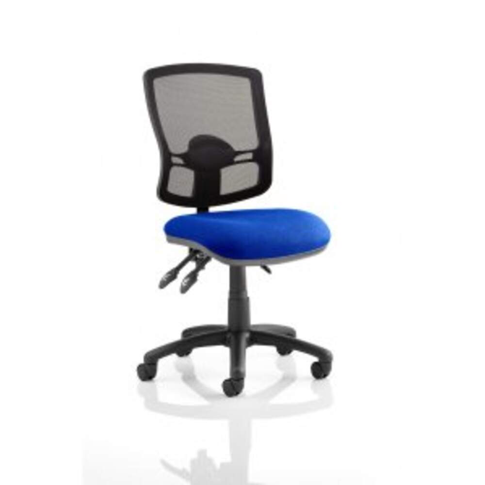 Eclipse Plus III Deluxe Mesh Back With Blue Seat With Height Adjustable Arms