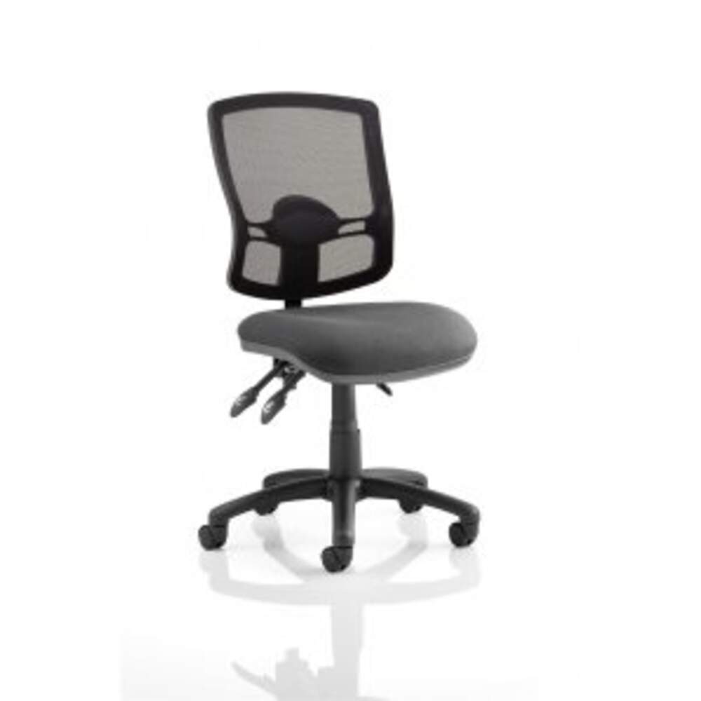 Eclipse Plus III Deluxe Mesh Back With Charcoal Seat With Height Adjustable Arms